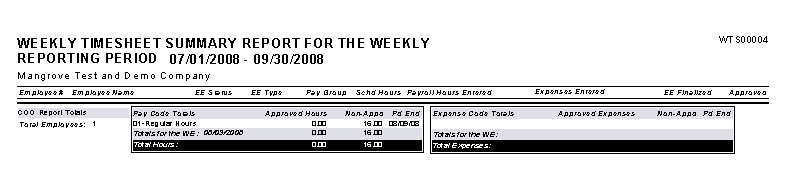 Summary Section, Weekly Timesheet Summary for the Weekly Reporting Period