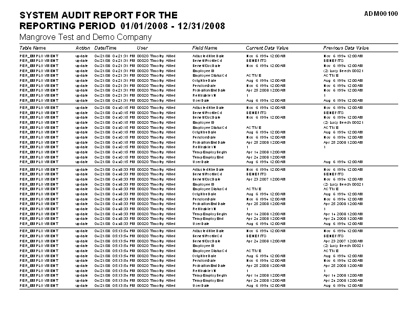 System Audit Report