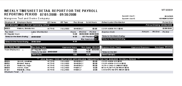 Weekly Timesheet Summary for the Reporting Period