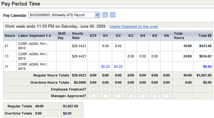 Pay Period Time